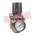 Pressure Regulator
