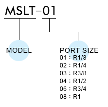 MSLT Order Example